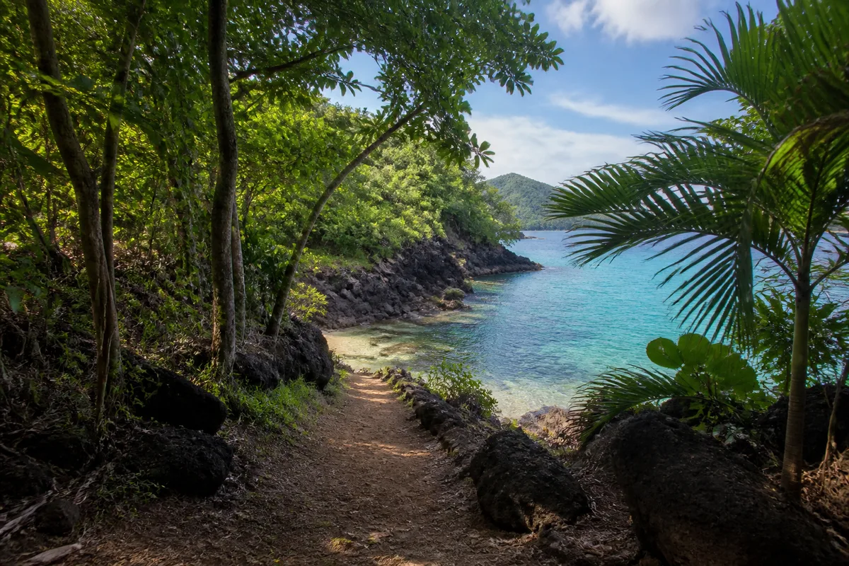Sentier tropical bordé de bois d&rsquo;Inde descendant vers une crique aux eaux claires